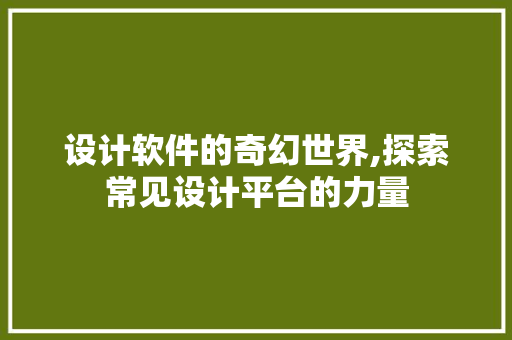 设计软件的奇幻世界,探索常见设计平台的力量