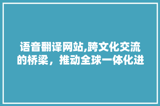 语音翻译网站,跨文化交流的桥梁，推动全球一体化进程