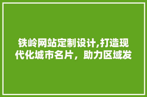 铁岭网站定制设计,打造现代化城市名片，助力区域发展新篇章
