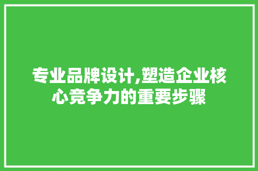 专业品牌设计,塑造企业核心竞争力的重要步骤
