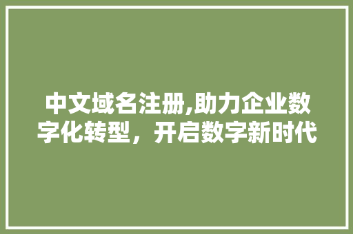 中文域名注册,助力企业数字化转型，开启数字新时代
