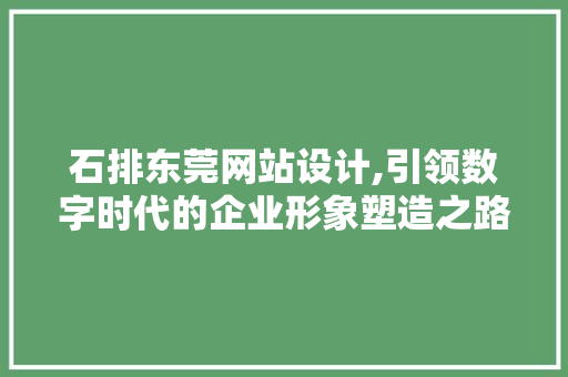 石排东莞网站设计,引领数字时代的企业形象塑造之路