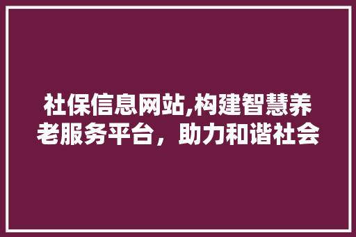 社保信息网站,构建智慧养老服务平台，助力和谐社会建设