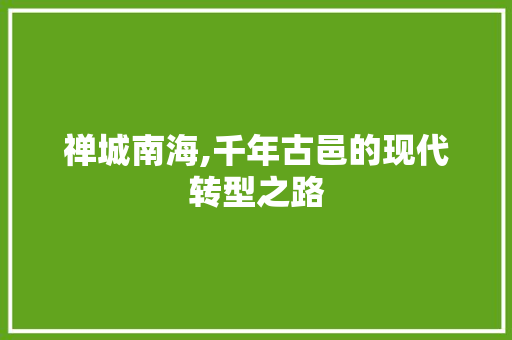 禅城南海,千年古邑的现代转型之路