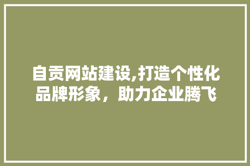 自贡网站建设,打造个性化品牌形象，助力企业腾飞 自贡网站建设,打造个性化品牌形象，助力企业腾飞 WordPress教程