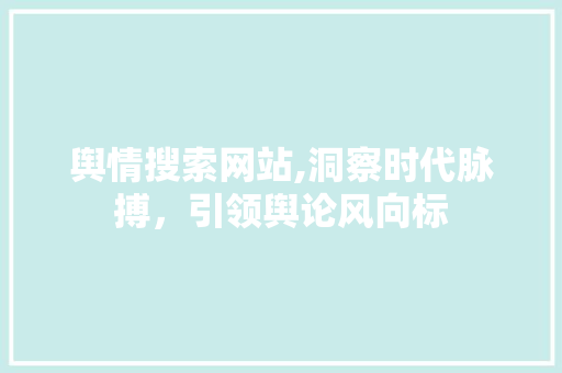 舆情搜索网站,洞察时代脉搏，引领舆论风向标