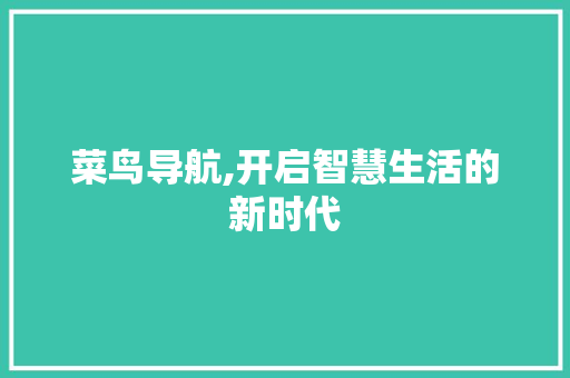 菜鸟导航,开启智慧生活的新时代