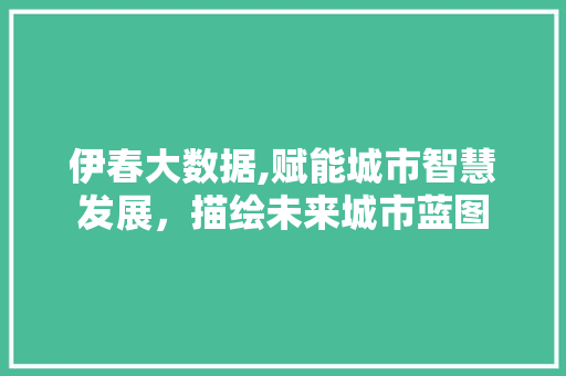 伊春大数据,赋能城市智慧发展，描绘未来城市蓝图