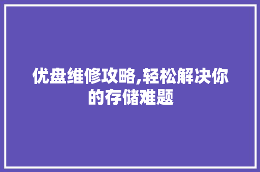 优盘维修攻略,轻松解决你的存储难题