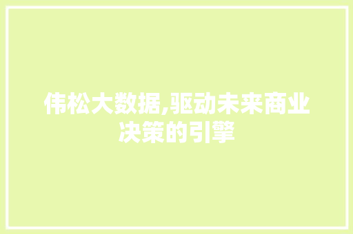 伟松大数据,驱动未来商业决策的引擎