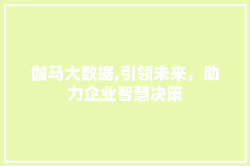 伽马大数据,引领未来，助力企业智慧决策