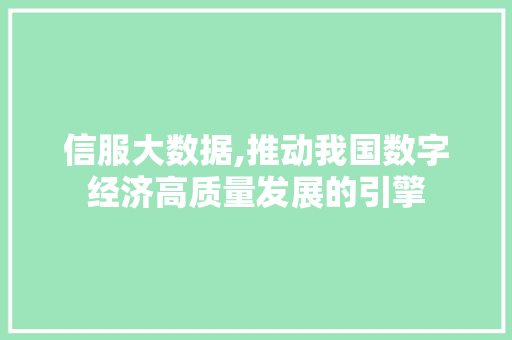 信服大数据,推动我国数字经济高质量发展的引擎