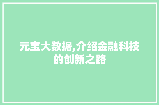 元宝大数据,介绍金融科技的创新之路
