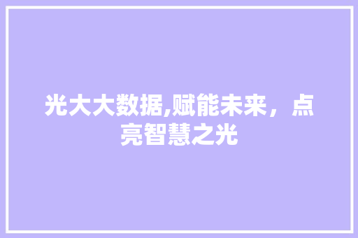 光大大数据,赋能未来，点亮智慧之光