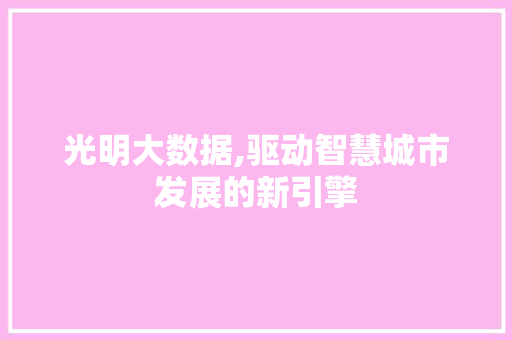 光明大数据,驱动智慧城市发展的新引擎