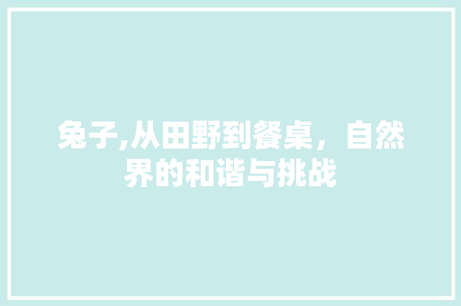 兔子,从田野到餐桌，自然界的和谐与挑战
