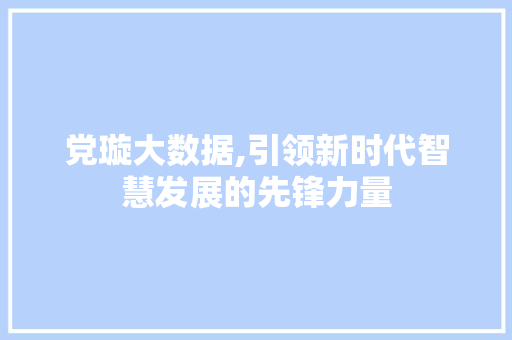 党璇大数据,引领新时代智慧发展的先锋力量