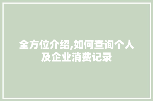 全方位介绍,如何查询个人及企业消费记录