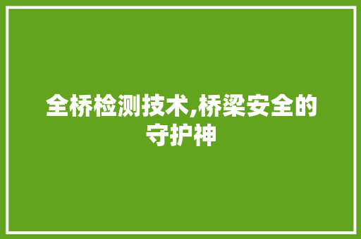 全桥检测技术,桥梁安全的守护神