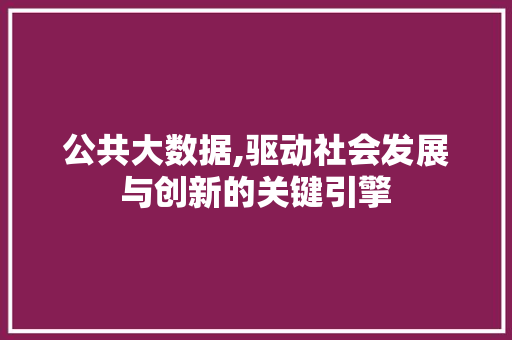 公共大数据,驱动社会发展与创新的关键引擎