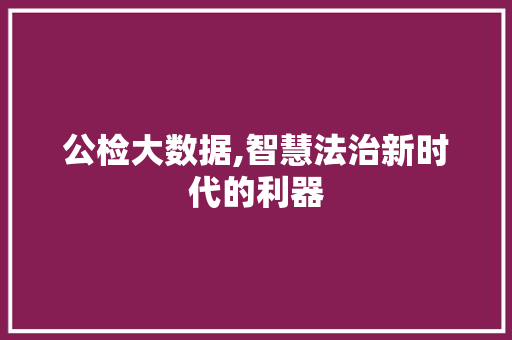 公检大数据,智慧法治新时代的利器 公检大数据,智慧法治新时代的利器