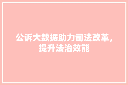 公诉大数据助力司法改革，提升法治效能