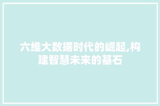 六维大数据时代的崛起,构建智慧未来的基石 WordPress教程