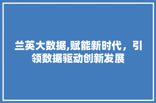 兰英大数据,赋能新时代，引领数据驱动创新发展