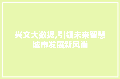兴文大数据,引领未来智慧城市发展新风尚 服务器/数据库