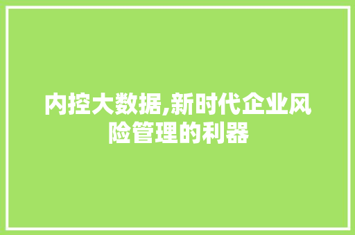 内控大数据,新时代企业风险管理的利器