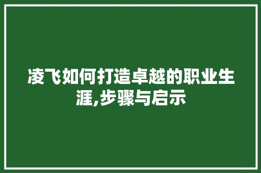 凌飞如何打造卓越的职业生涯,步骤与启示