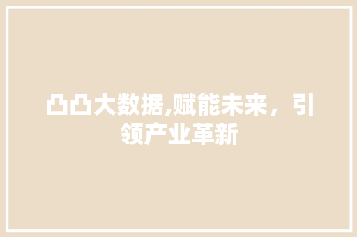 凸凸大数据,赋能未来，引领产业革新 WordPress教程