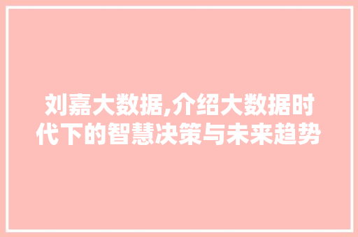 刘嘉大数据,介绍大数据时代下的智慧决策与未来趋势