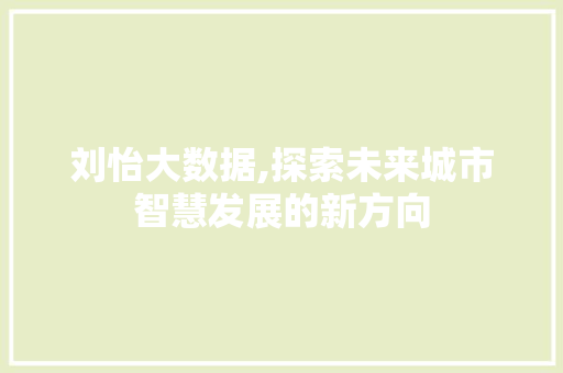 刘怡大数据,探索未来城市智慧发展的新方向