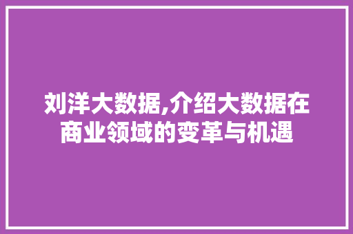 刘洋大数据,介绍大数据在商业领域的变革与机遇