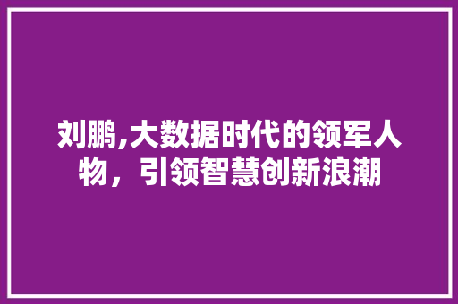 刘鹏,大数据时代的领军人物，引领智慧创新浪潮