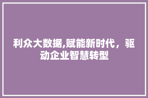 利众大数据,赋能新时代，驱动企业智慧转型