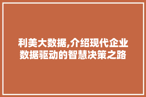 利美大数据,介绍现代企业数据驱动的智慧决策之路