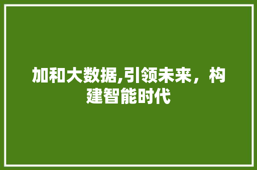 加和大数据,引领未来，构建智能时代