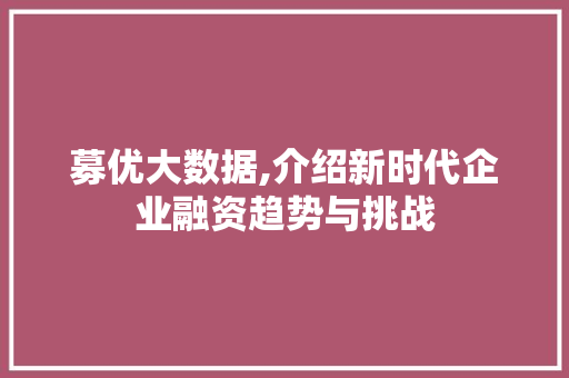 募优大数据,介绍新时代企业融资趋势与挑战