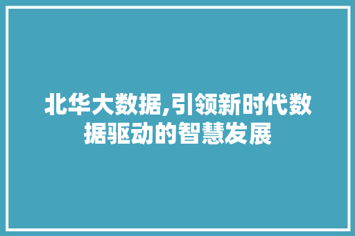 北华大数据,引领新时代数据驱动的智慧发展