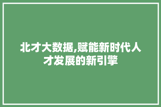 北才大数据,赋能新时代人才发展的新引擎 建站教程
