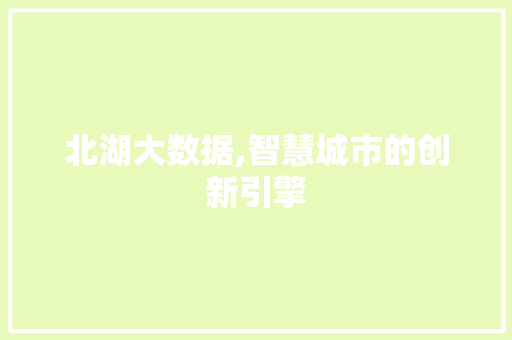 北湖大数据,智慧城市的创新引擎 建站教程