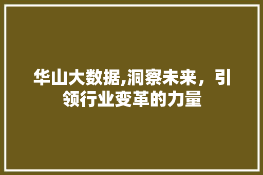 华山大数据,洞察未来，引领行业变革的力量