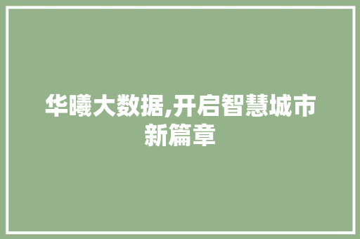华曦大数据,开启智慧城市新篇章