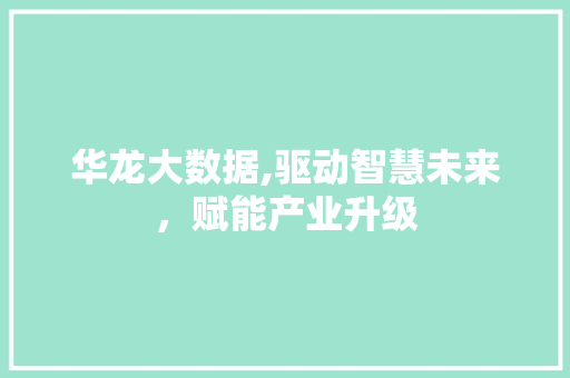 华龙大数据,驱动智慧未来，赋能产业升级