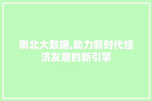 南北大数据,助力新时代经济发展的新引擎