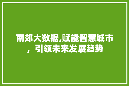 南郊大数据,赋能智慧城市，引领未来发展趋势 友链在线