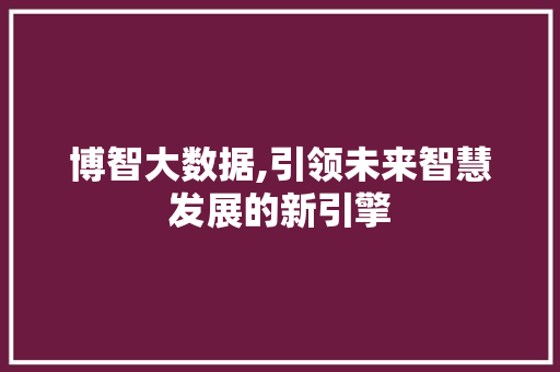 博智大数据,引领未来智慧发展的新引擎 SEO教程