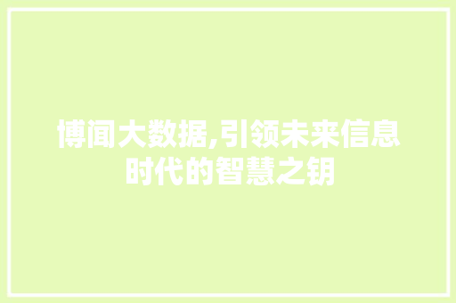 博闻大数据,引领未来信息时代的智慧之钥